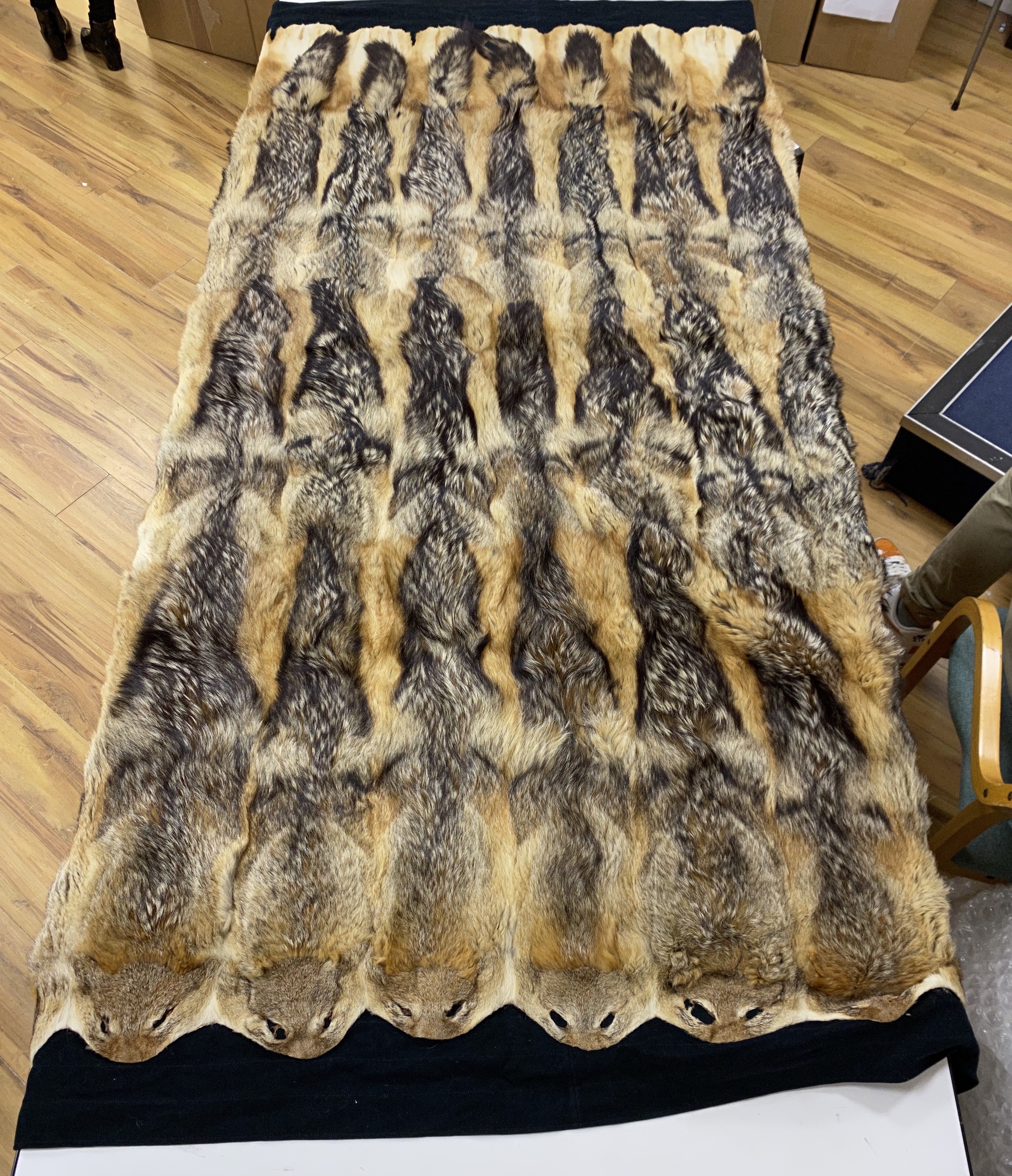 Taxidermy: a coyote fur felt lined rug, label for International Fur Store, Regent Street, London probably 1930s